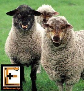 wolf guarding sheep doctor bribe