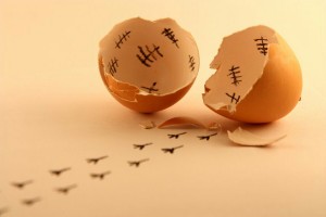 Ελευθερο πουλι απο τη φυλακη του το αυγο. ειδικευομενοι eidikeyomenoi eidikeuomenoi