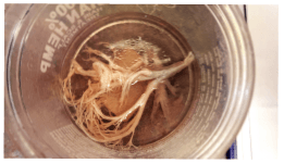 medical crowdsourcing ειδικευόμενοι eidikeyomenoi eidikeuomenoi