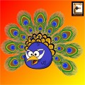 θυμωμένο παγώνι angry peacock eidikeyomenoi eidikeuomenoi ειδικευομενοι