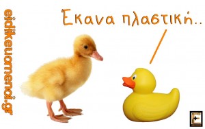 πάπιες. πάπια κανονική πλαστική. επέμβαση χειρουργική