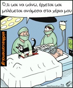 γάτα μπλέκεται ανάμεσα στα χέρια του χειρουργού