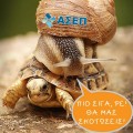 ασεπ σαλιγκάρι πάνω σε χελώνα. Πιο σιγά ρε, θα μας σκοτώσεις