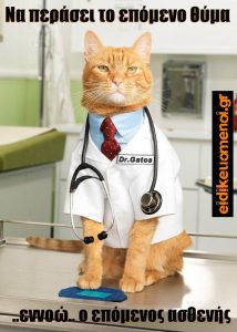 Γάτα γάτος ντυμένος Ιατρός με γραβάτα. Να περάσει το επόμενο θύμα .. εννοώ ο επόμενος ασθενής. Ειδικευόμενοι Ειδικευόμενος Ειδικευόμενη