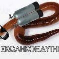 Σκουλήκι με μπουκάλες, μάσκα, και βατραχοπεδιλα. Σκωληκοειδήτης σκωληκοειδύτης