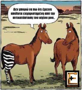 Άλογο με πόδι ζέβρας: "δεν μπορώ να πω ότι είμαι απόλυτα ευχαριστημένη με την αντικατάσταση του ισχίου μου"