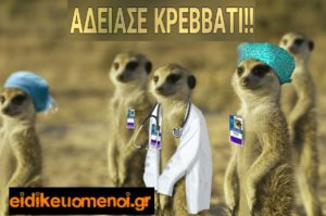 ά και σκουφάκια με χειρουργοί ιατροίΣουρικάτα