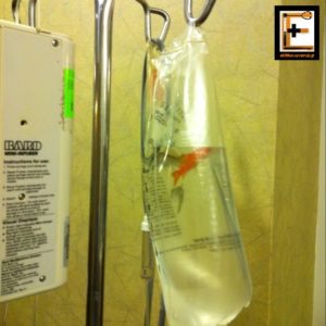 χρυσόψαρο μέσα σε ενδοφλέβιο ορό