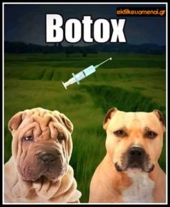 PicsArt_09-24-09.27.21