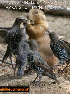 PicsArt_02-25-09.36.48